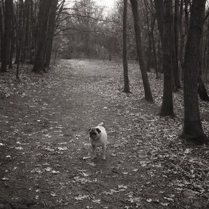 Meet your Posher, Andy